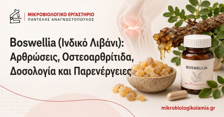 Boswellia Ινδικό Λιβάνι: Αρθρώσεις και Οστεοαρθρίτιδα 1 Boswellia ινδικό λιβάνι για αρθρώσεις και οστεοαρθρίτιδα