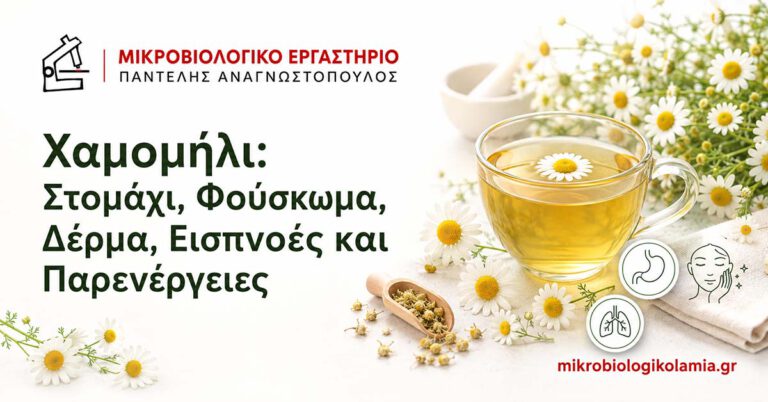 Χαμομήλι για Στομάχι και Φούσκωμα: Χρήσεις & Κίνδυνοι 4 Χαμομήλι για στομάχι, φούσκωμα, δέρμα, εισπνοές και παρενέργειες