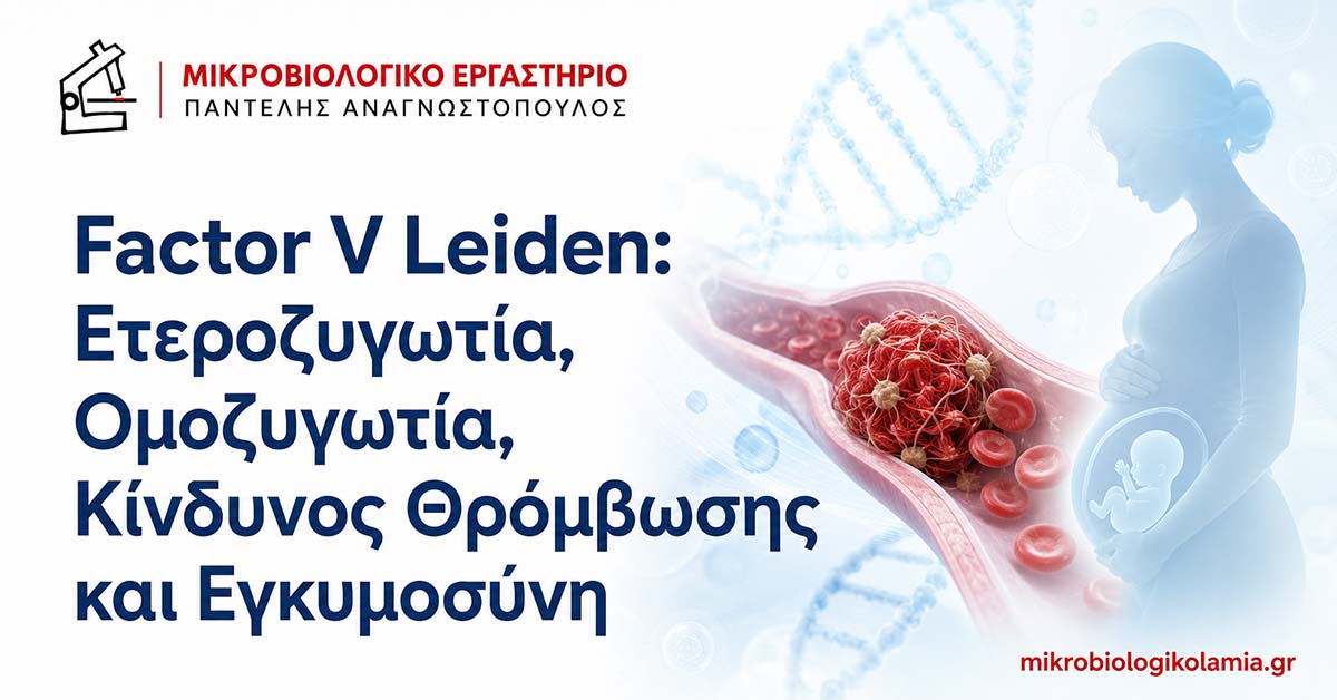 Factor V Leiden: Κίνδυνος Θρόμβωσης και Εγκυμοσύνη 1 Factor V Leiden, ετεροζυγωτία, ομοζυγωτία και εγκυμοσύνη