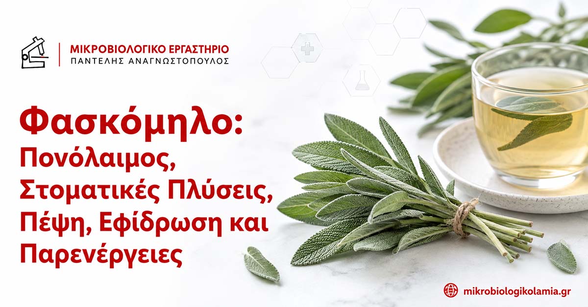 Φασκόμηλο για πονόλαιμο, στοματικές πλύσεις, πέψη, εφίδρωση και παρενέργειες