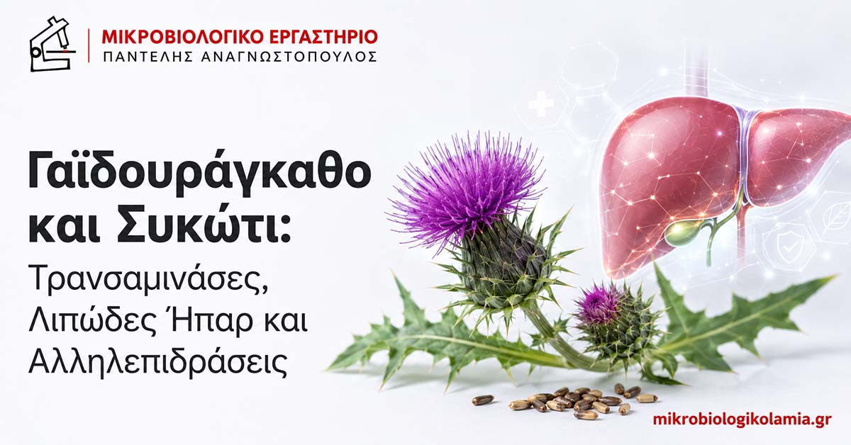 Γαϊδουράγκαθο και Συκώτι: Τρανσαμινάσες και Λιπώδες Ήπαρ 1 Γαϊδουράγκαθο και συκώτι – τρανσαμινάσες, λιπώδες ήπαρ και αλληλεπιδράσεις