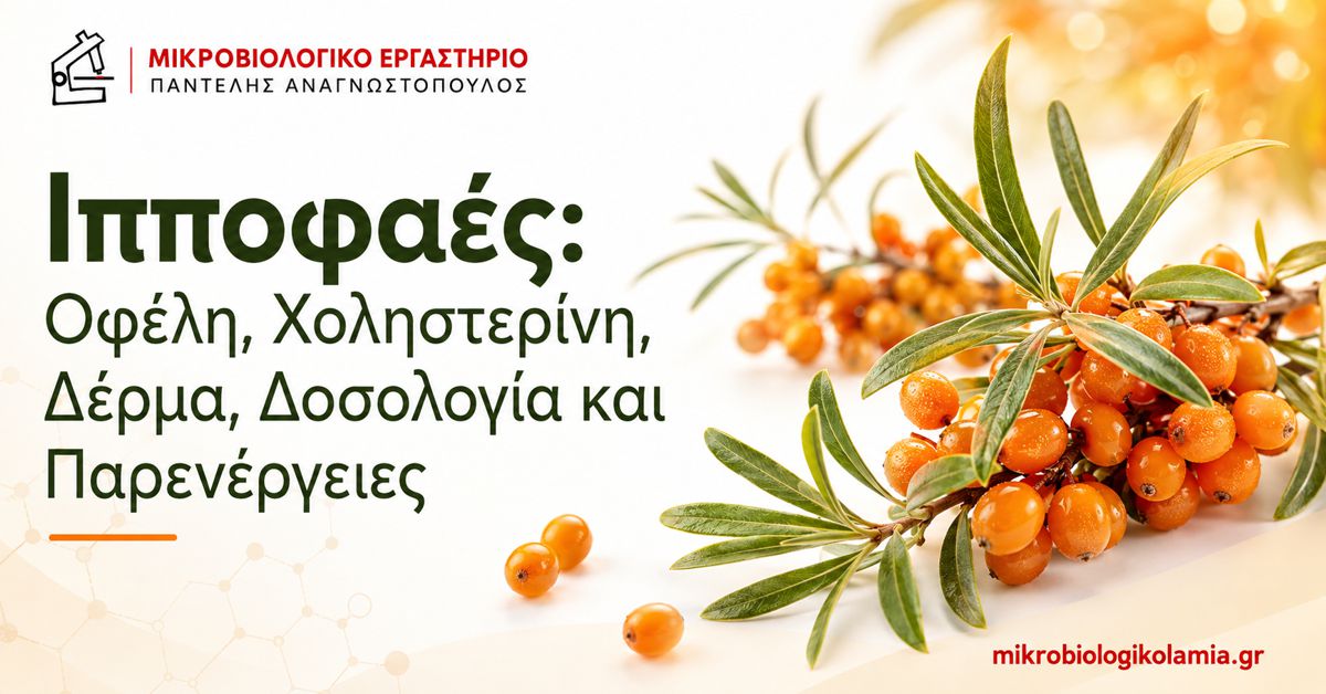 Ιπποφαές: Οφέλη, Δοσολογία και Παρενέργειες 1 Ιπποφαές – οφέλη για χοληστερίνη και δέρμα, δοσολογία και παρενέργειες