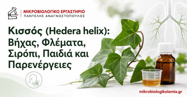 Κισσός για Βήχα και Φλέματα: Σιρόπι, Παιδιά και Ασφάλεια 5 Κισσός Hedera helix για βήχα και φλέματα με σιρόπι και δοσομετρικό κύπελλο