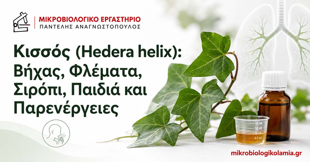 Κισσός για Βήχα και Φλέματα: Σιρόπι, Παιδιά και Ασφάλεια 1 Κισσός Hedera helix για βήχα και φλέματα με σιρόπι και δοσομετρικό κύπελλο