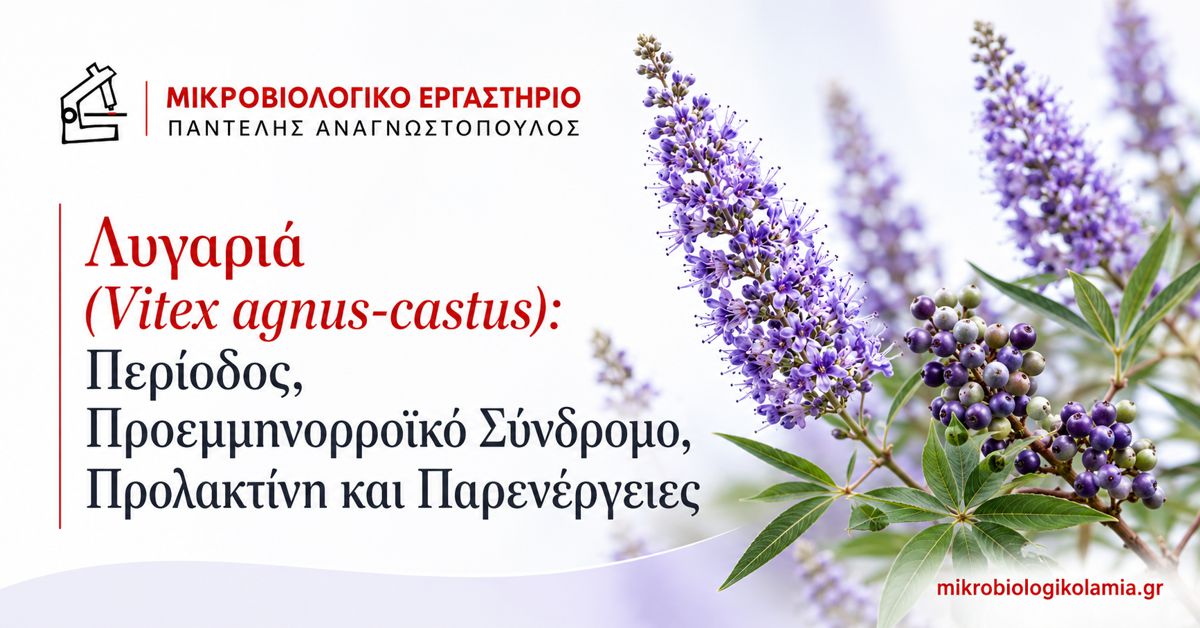 Λυγαριά (Vitex agnus-castus) για περίοδο, προεμμηνορροϊκό σύνδρομο και προλακτίνη
