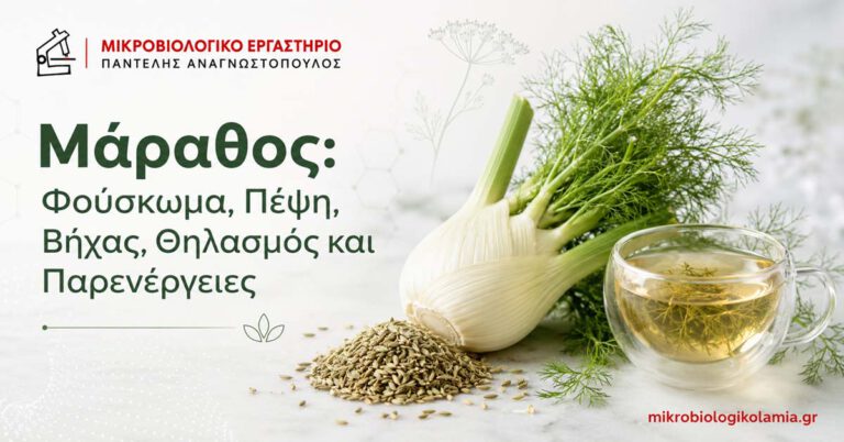 Μάραθος: Ρόφημα για Φούσκωμα, Δοσολογία και Παρενέργειες 2 Μάραθος με βολβό, σπόρους και ρόφημα για φούσκωμα, πέψη, βήχα, θηλασμό και παρενέργειες