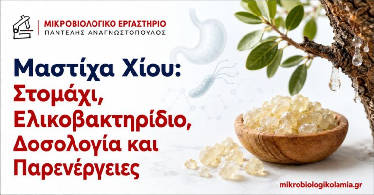 Μαστίχα Χίου: Στομάχι, Ελικοβακτηρίδιο και Δοσολογία 3 Μαστίχα Χίου για στομάχι, Ελικοβακτηρίδιο, δοσολογία και παρενέργειες