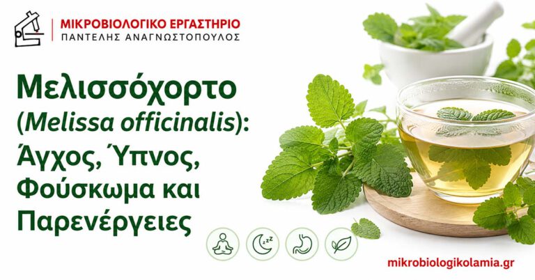 Μελισσόχορτο: Ύπνος, Άγχος, Φούσκωμα και Ασφάλεια 5 Μελισσόχορτο Melissa officinalis για άγχος, ύπνο, φούσκωμα και παρενέργειες
