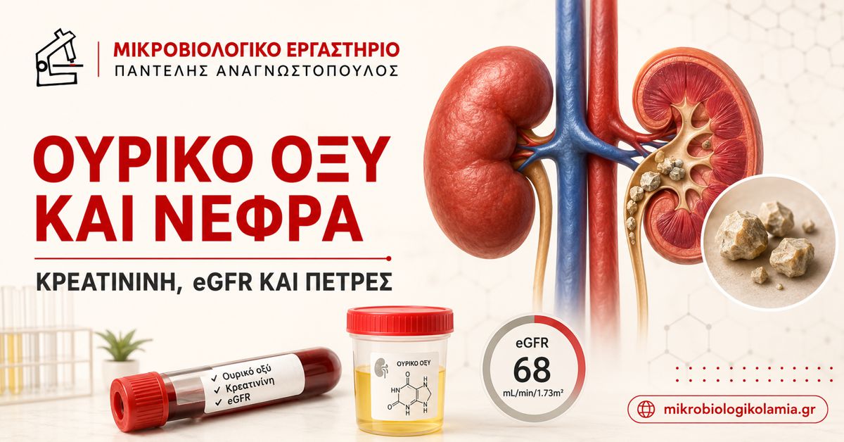 Ουρικό Οξύ και Νεφρά: Κρεατινίνη, eGFR & Πέτρες