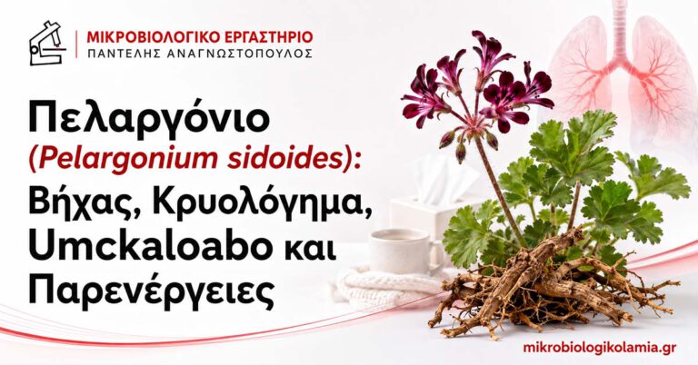 Πελαργόνιο: Βήχας, Κρυολόγημα και Παρενέργειες 1 Πελαργόνιο Pelargonium sidoides για βήχα, κρυολόγημα, Umckaloabo και παρενέργειες