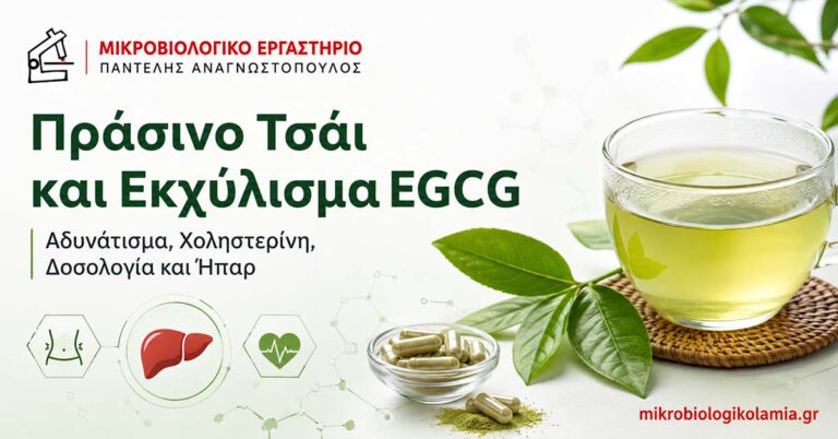Πράσινο Τσάι και EGCG: Αδυνάτισμα, LDL και Ήπαρ 4 Πράσινο τσάι και εκχύλισμα EGCG για αδυνάτισμα, χοληστερίνη, δοσολογία και ήπαρ