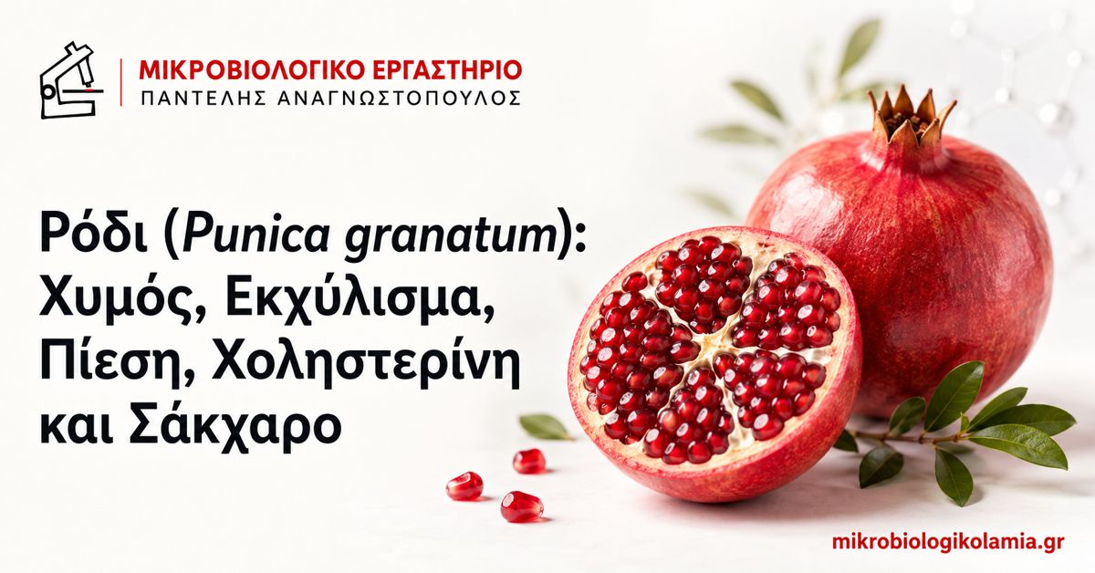 Ρόδι και χυμός ροδιού για πίεση, χοληστερίνη και σάκχαρο