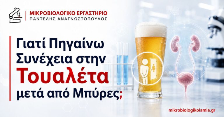 Γιατί Πηγαίνω Συνέχεια στην Τουαλέτα μετά από Μπύρες; 5 Συχνουρία μετά από μπύρες και επίδραση του αλκοόλ στους νεφρούς και την ουροδόχο κύστη