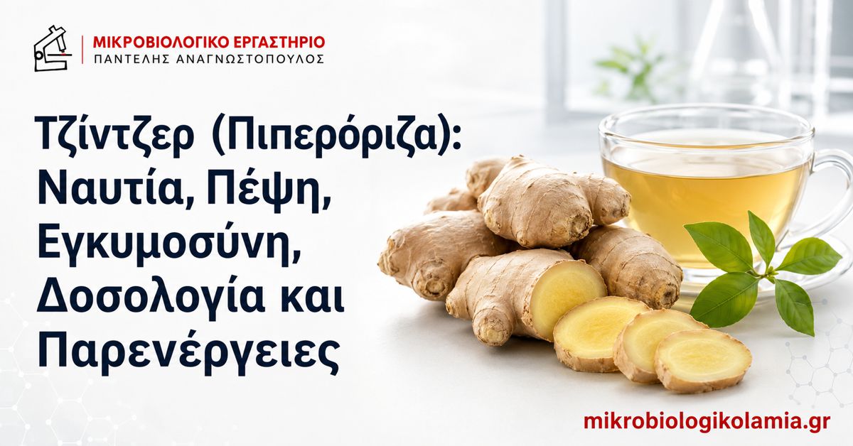 Τζίντζερ (Πιπερόριζα): Δοσολογία και Παρενέργειες 1 Τζίντζερ ή πιπερόριζα για ναυτία, πέψη και εγκυμοσύνη