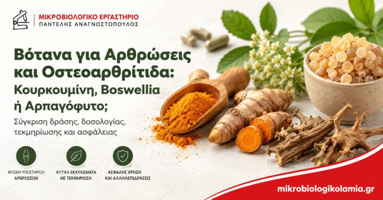Βότανα για Αρθρώσεις: Κουρκουμίνη, Boswellia ή Αρπαγόφυτο; 1 Βότανα για αρθρώσεις και οστεοαρθρίτιδα με κουρκουμίνη, Boswellia και αρπαγόφυτο
