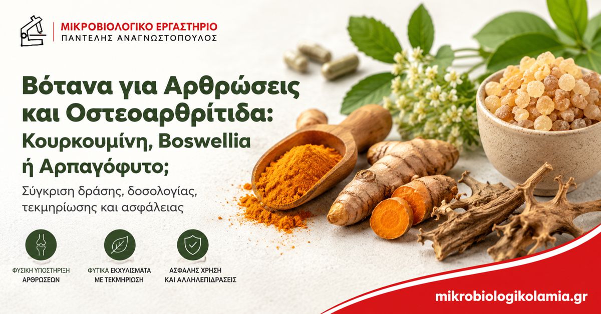 Βότανα για Αρθρώσεις: Κουρκουμίνη, Boswellia ή Αρπαγόφυτο;
