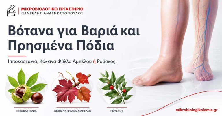 Βότανα για Βαριά και Πρησμένα Πόδια: Σύγκριση 4 Βότανα για βαριά και πρησμένα πόδια με ιπποκαστανιά, κόκκινα φύλλα αμπέλου και ρούσκο