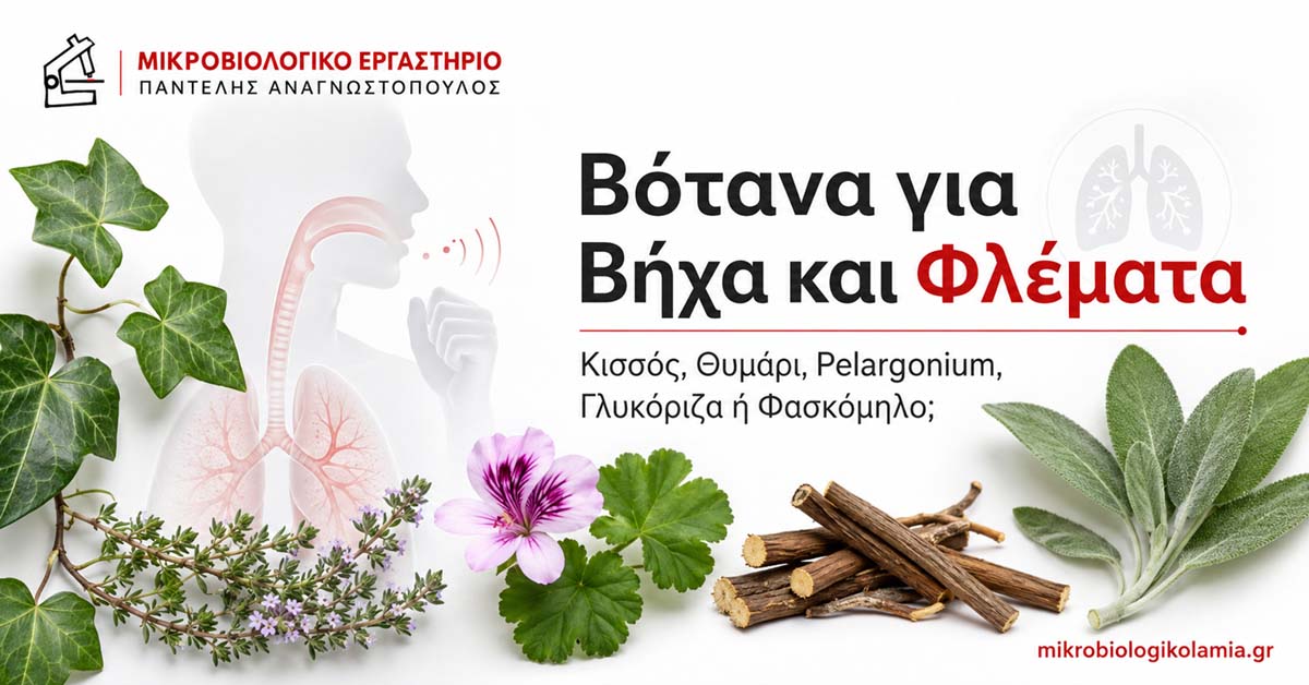 Βότανα για Βήχα και Φλέματα: Ποιο Είναι Καλύτερο;