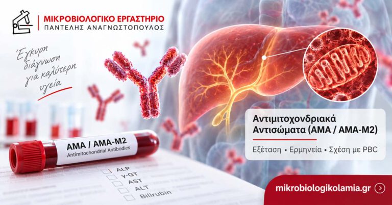 Αντιμιτοχονδριακά αντισώματα (AMA / AMA-M2) – εξέταση και σχέση με πρωτοπαθή χολική χολαγγειίτιδα