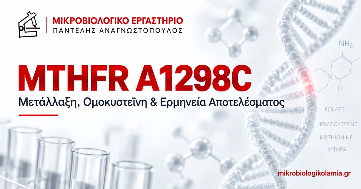 MTHFR A1298C: Μετάλλαξη, Ομοκυστεΐνη & Ερμηνεία