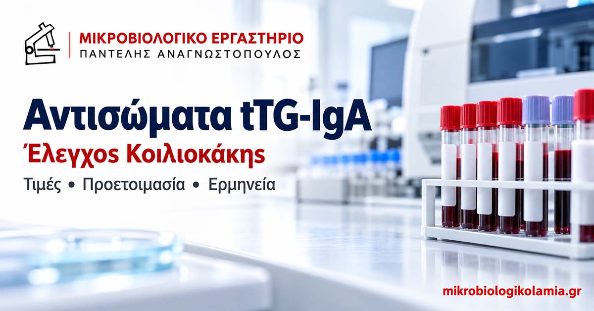 Αντισώματα tTG-IgA: Τιμές, Προετοιμασία & Ερμηνεία